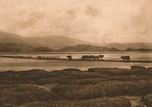 The Dovey at Ynyslas by Unbekannt