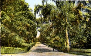 The Flower Walk, Kensington Gardens, London, 20th Century by Unbekannt