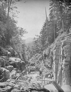 The Flume, Franconia White Mountains, N.H.
