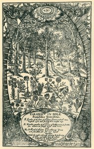 The Garden of Eden by Unbekannt