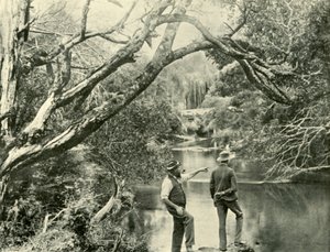 The Launching Place, Upper Yarra, Victoria by Unbekannt