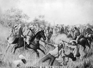 The Long combat