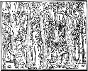 The Lover in the Wood by Unbekannt