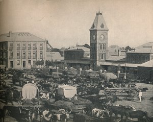 The Market, Kimberley