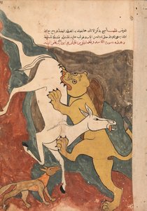The Monkey Tells the Story of the Fox Luring the Ass to its Death by the Lion by Unbekannt