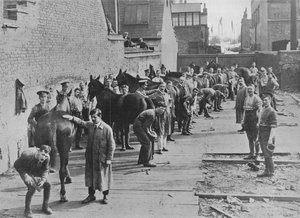 The New Army in training at the Farriers School