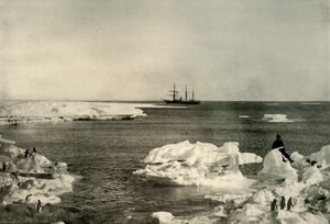 The Nimrod Lying Off The Penguin Rookery by Unbekannt