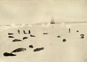 The Nimrod at Pram Point on March 4, 1909 by Unbekannt