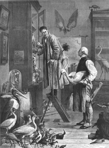 The Ornithologist