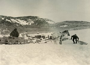 The Pont Quan About To Draw A Sledge Load of Stores