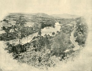 The Salmon Ponds Road