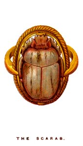 The Scarab