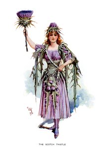 The Scotch Thistle, 1899