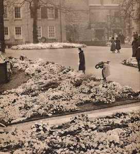 The State Funeral of King George V at Windsor: memorial wreaths