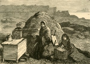 The State of Ireland: An Evicted Family Near Errismore by Unbekannt