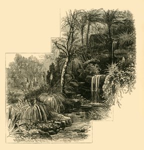 The Tropical Gardens, Battersea Park, c1878