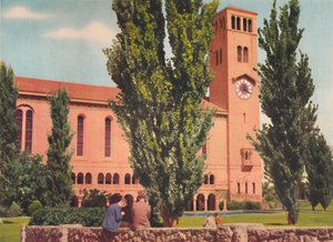 The University