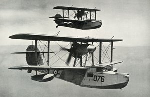 The Vickers-Armstrongs Walrus by Unbekannt