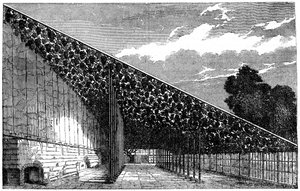 The Vinery at Hampton Court