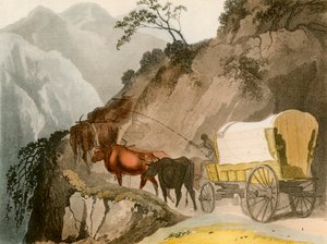 The Way of the Voortrekker by Unbekannt