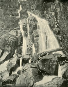 The Wellington Falls, Mount Wellington by Unbekannt