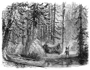 The Woods before the Emigrant, 1900