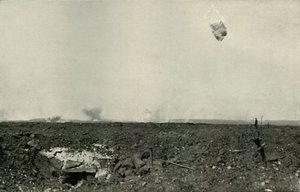 The Woolly Bear, 1919 by Unbekannt
