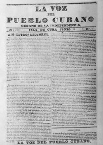 The voice of the people newspaper by Unbekannt