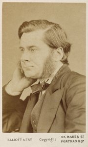 Thomas Henry Huxley, British biologist, c 1865-1886 by Unbekannt