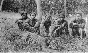 Tiger Hunters, Tonkin, Vietnam by Unbekannt