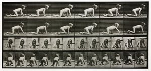 Time-Lapse Photographs of a Child Crawling by Unbekannt