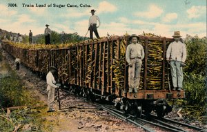 Train Load of Sugar Cane Leaving the Field, Cuba