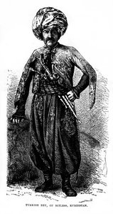Turkish Bey, of Bitless, Kurdistan, 19th Century by Unbekannt