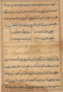 Tuti-Nama Tales of a Parrot by Unbekannt