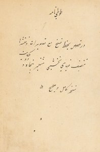 Tuti-Nama Tales of a Parrot by Unbekannt