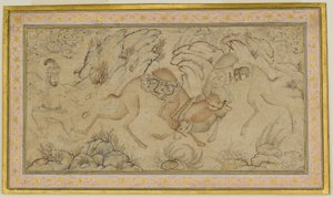 Two Camels Fighting
