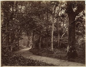 Untitled Landscape