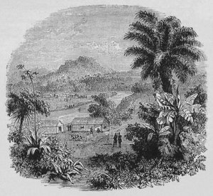 View in Cayenne