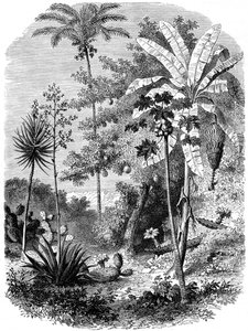 View of the Spanish Main, Guatemala by Unbekannt