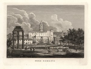 View of the ruins of the Roman Forum
