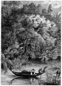 View on the Dodinga River, New Guinea