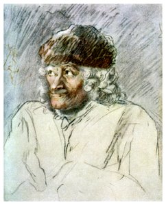 Voltaire, French Writer by Unbekannt