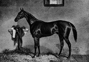 Voltigeur, 1847-1874, 1911 by Unbekannt