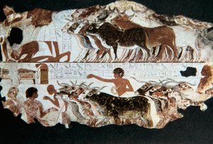 Wall painting from the tomb of Nebarunun, Thebes, Egypt by Unbekannt