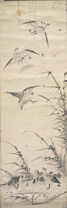 Wild Geese and Reeds
