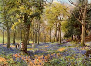 Wild Hyacinths in a Surrey Copse