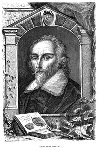William Harvey, English Physician