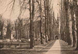 Winchester Cathedral and Avenue, Hampshire by Unbekannt
