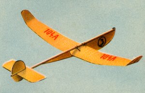 Winkler model plane