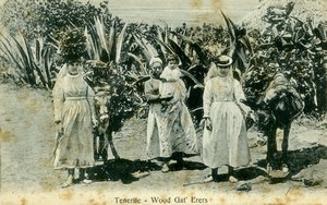 Wood gatherers, Tenerife, Canary Islands, early 20th century
